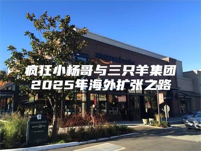 疯狂小杨哥与三只羊集团2025年海外扩张之路