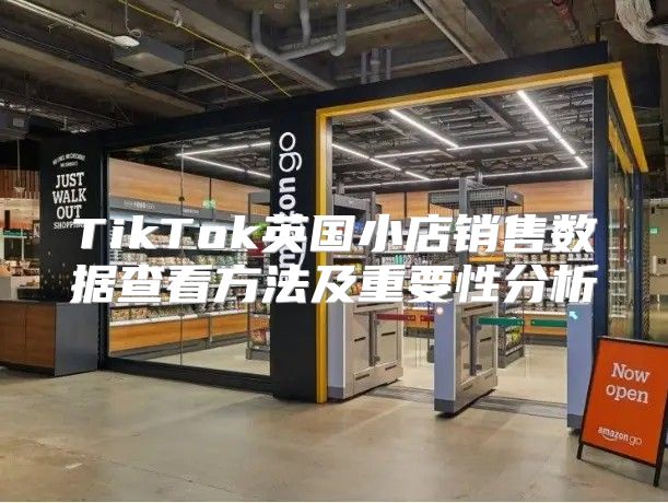 TikTok英国小店销售数据查看方法及重要性分析