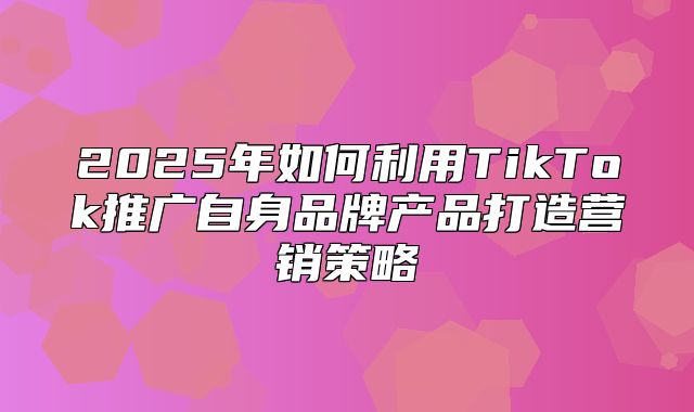 2025年如何利用TikTok推广自身品牌产品打造营销策略