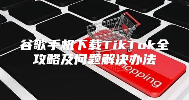 谷歌手机下载TikTok全攻略及问题解决办法
