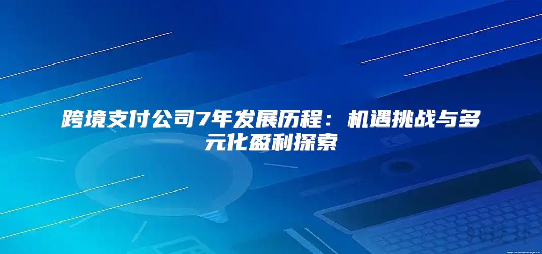 跨境支付公司7年发展历程：机遇挑战与多元化盈利探索