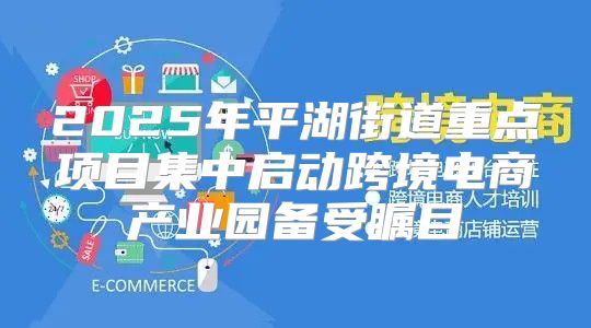 2025年平湖街道重点项目集中启动跨境电商产业园备受瞩目