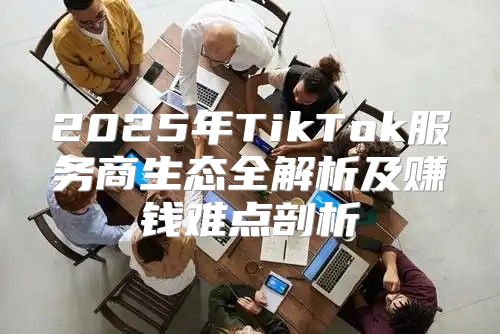 2025年TikTok服务商生态全解析及赚钱难点剖析