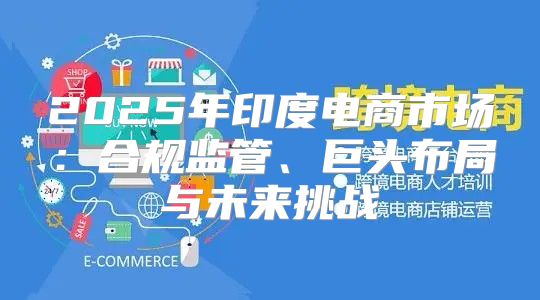 2025年印度电商市场：合规监管、巨头布局与未来挑战