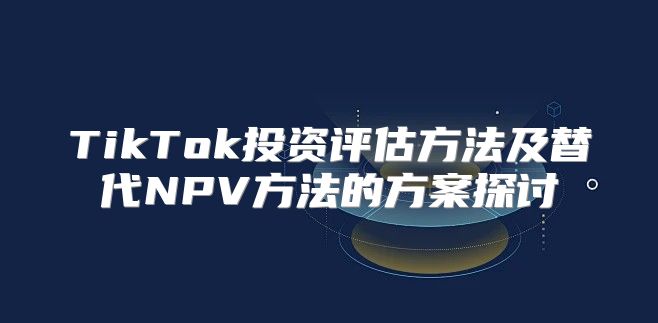 TikTok投资评估方法及替代NPV方法的方案探讨