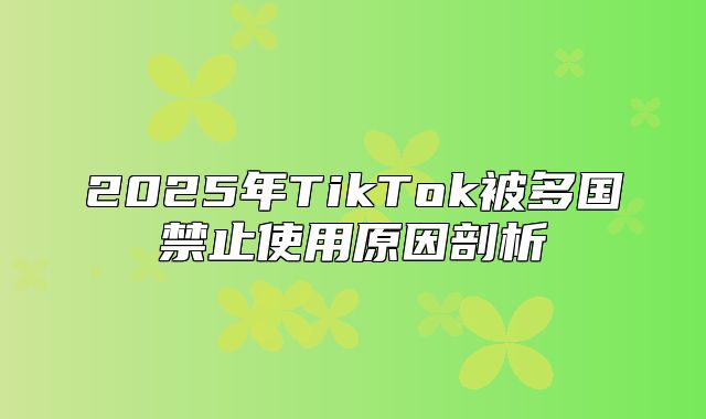 2025年TikTok被多国禁止使用原因剖析