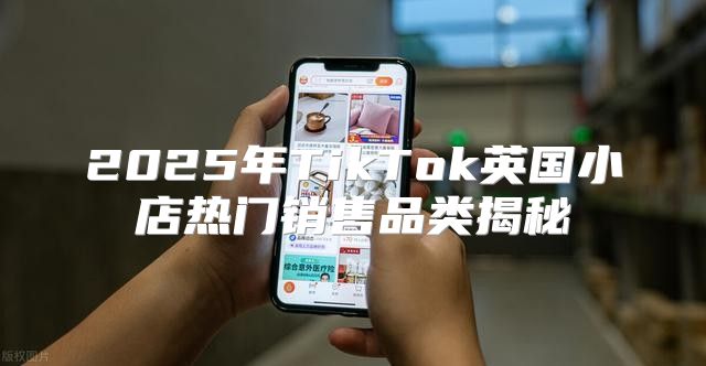 2025年TikTok英国小店热门销售品类揭秘