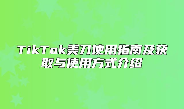 TikTok美刀使用指南及获取与使用方式介绍