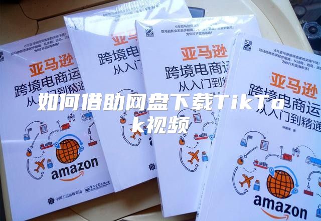如何借助网盘下载TikTok视频