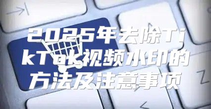 2025年去除TikTok视频水印的方法及注意事项