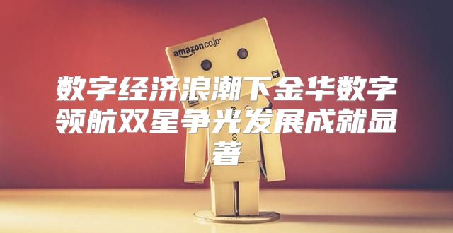 数字经济浪潮下金华数字领航双星争光发展成就显著
