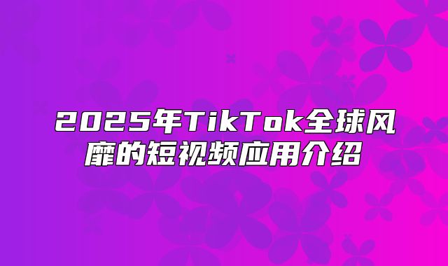 2025年TikTok全球风靡的短视频应用介绍