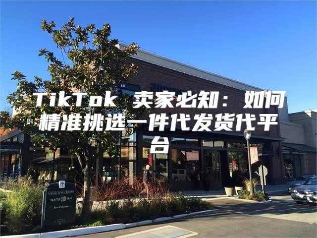 TikTok 卖家必知：如何精准挑选一件代发货代平台