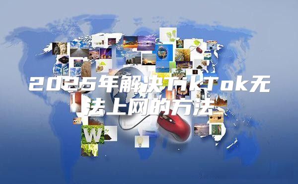 2025年解决TikTok无法上网的方法
