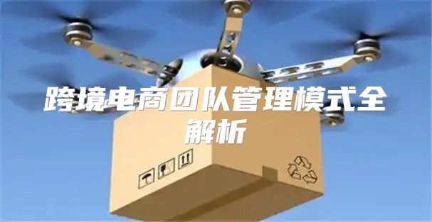 跨境电商团队管理模式全解析