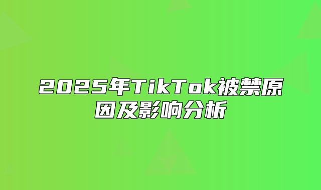 2025年TikTok被禁原因及影响分析