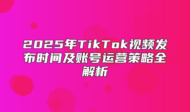 2025年TikTok视频发布时间及账号运营策略全解析
