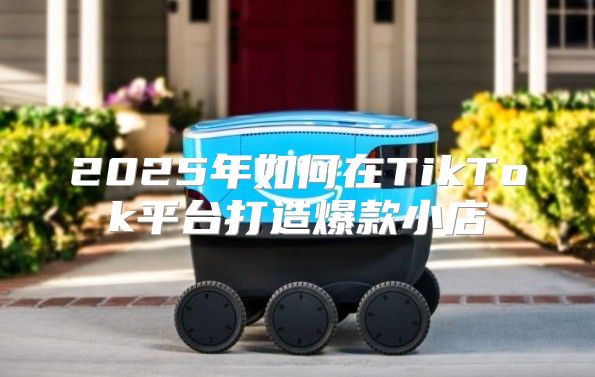 2025年如何在TikTok平台打造爆款小店