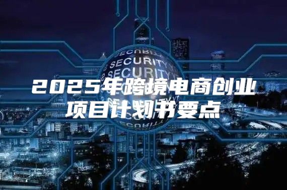 2025年跨境电商创业项目计划书要点