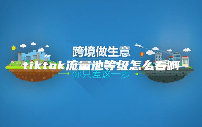 tiktok流量池等级怎么看啊