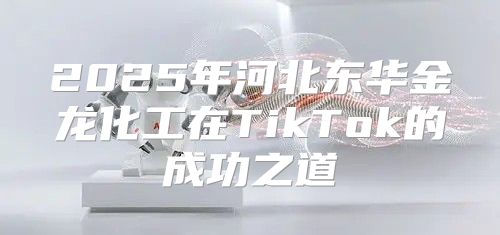 2025年河北东华金龙化工在TikTok的成功之道