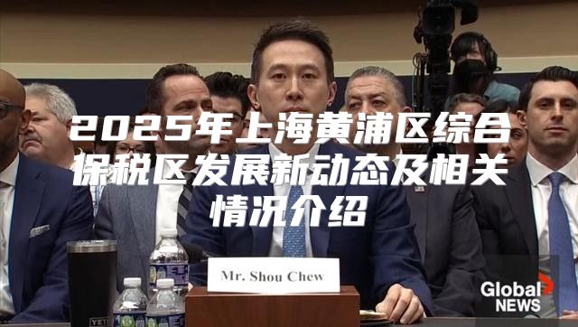 2025年上海黄浦区综合保税区发展新动态及相关情况介绍