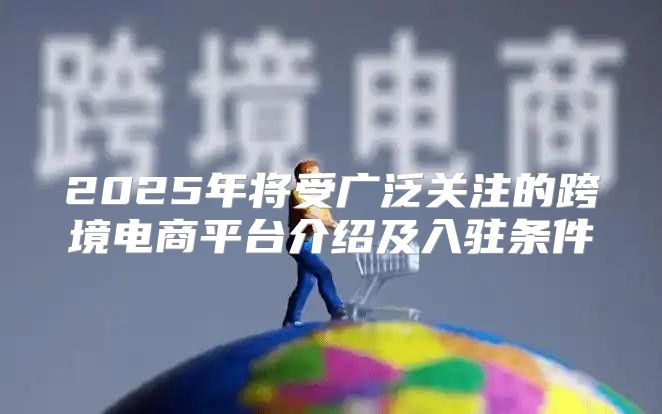 2025年将受广泛关注的跨境电商平台介绍及入驻条件