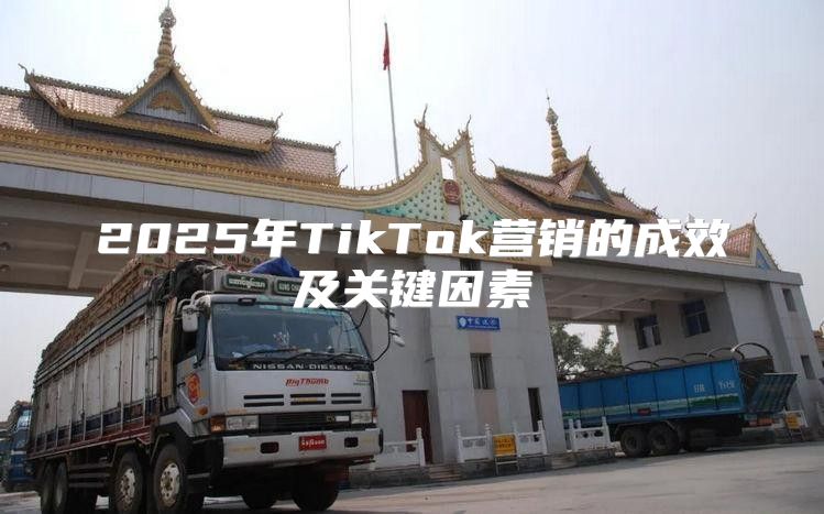 2025年TikTok营销的成效及关键因素