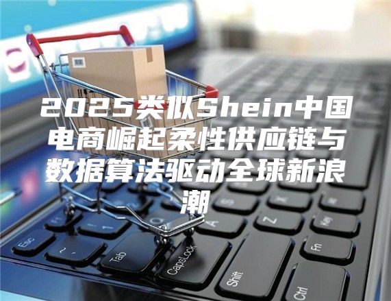 2025类似Shein中国电商崛起柔性供应链与数据算法驱动全球新浪潮