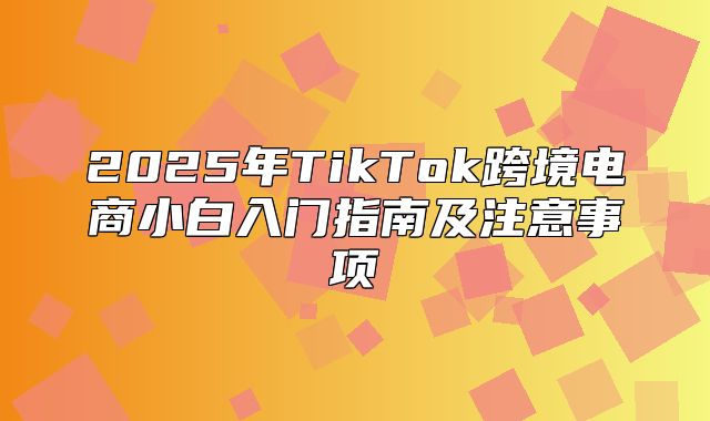 2025年TikTok跨境电商小白入门指南及注意事项