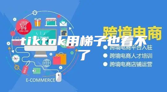 tiktok用梯子也看不了