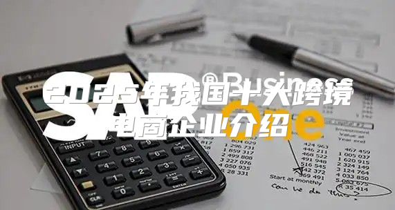 2025年我国十大跨境电商企业介绍