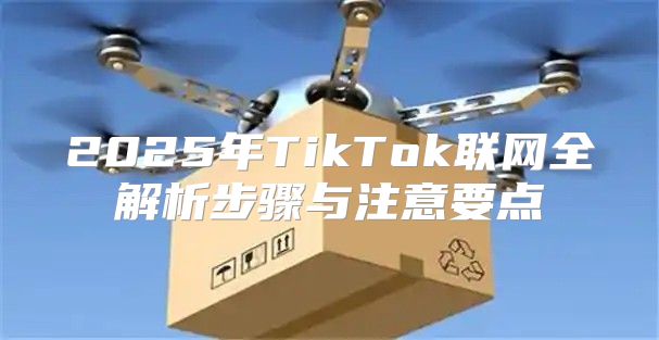 2025年TikTok联网全解析步骤与注意要点