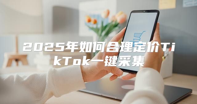 2025年如何合理定价TikTok一键采集