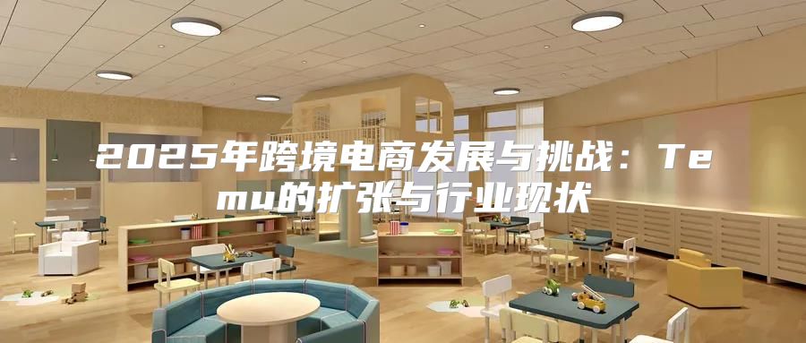 2025年跨境电商发展与挑战：Temu的扩张与行业现状