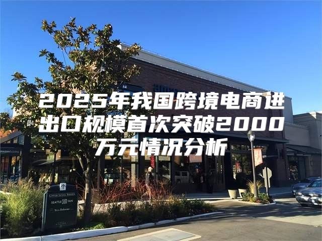 2025年我国跨境电商进出口规模首次突破2000万元情况分析