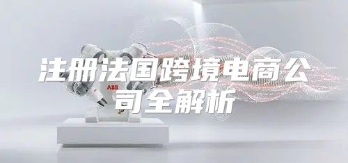 注册法国跨境电商公司全解析