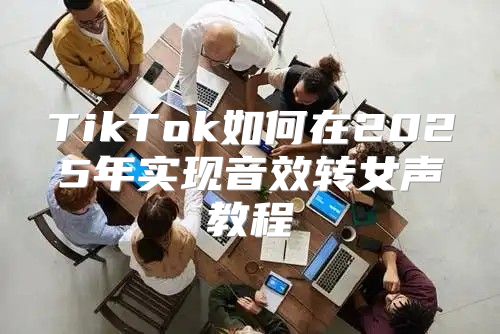 TikTok如何在2025年实现音效转女声教程