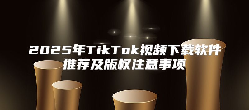 2025年TikTok视频下载软件推荐及版权注意事项