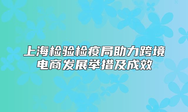 上海检验检疫局助力跨境电商发展举措及成效