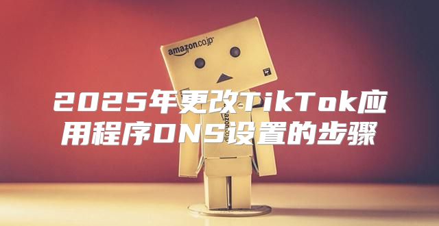 2025年更改TikTok应用程序DNS设置的步骤