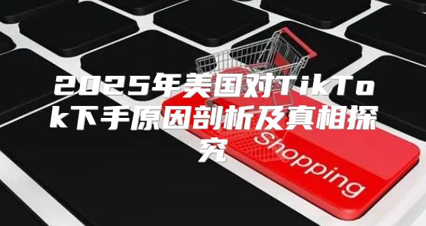 2025年美国对TikTok下手原因剖析及真相探究