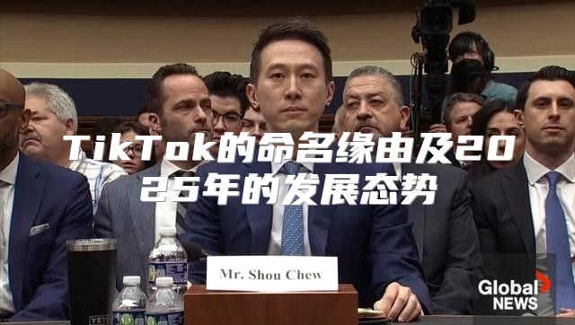 TikTok的命名缘由及2025年的发展态势