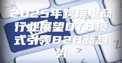 2025年跨境电商行业展望DTB模式引领B2B新趋势