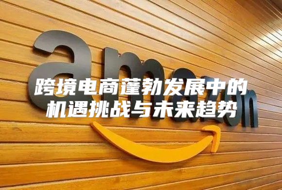 跨境电商蓬勃发展中的机遇挑战与未来趋势
