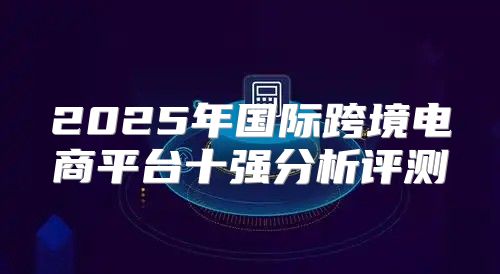 2025年国际跨境电商平台十强分析评测