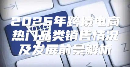 2025年跨境电商热门品类销售情况及发展前景解析