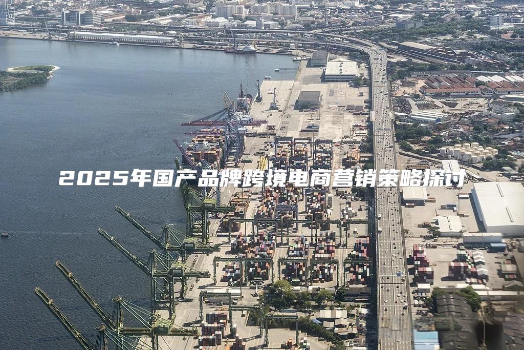2025年国产品牌跨境电商营销策略探讨