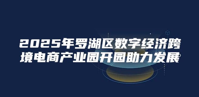 2025年罗湖区数字经济跨境电商产业园开园助力发展