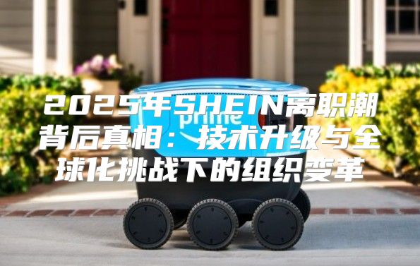 2025年SHEIN离职潮背后真相：技术升级与全球化挑战下的组织变革